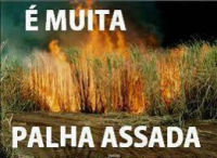 /album/rindo-no-maximo/eh-muita-palha%c3%a7ada-png/